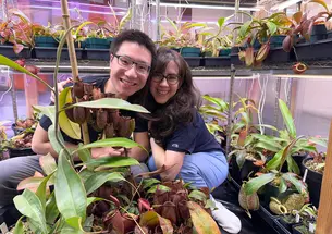 TOW_KevinZhang_SarahSantucci.jpg Kevin Zhang and Sarah Santucci in a greenhouse surrounded by carnivorous plants.