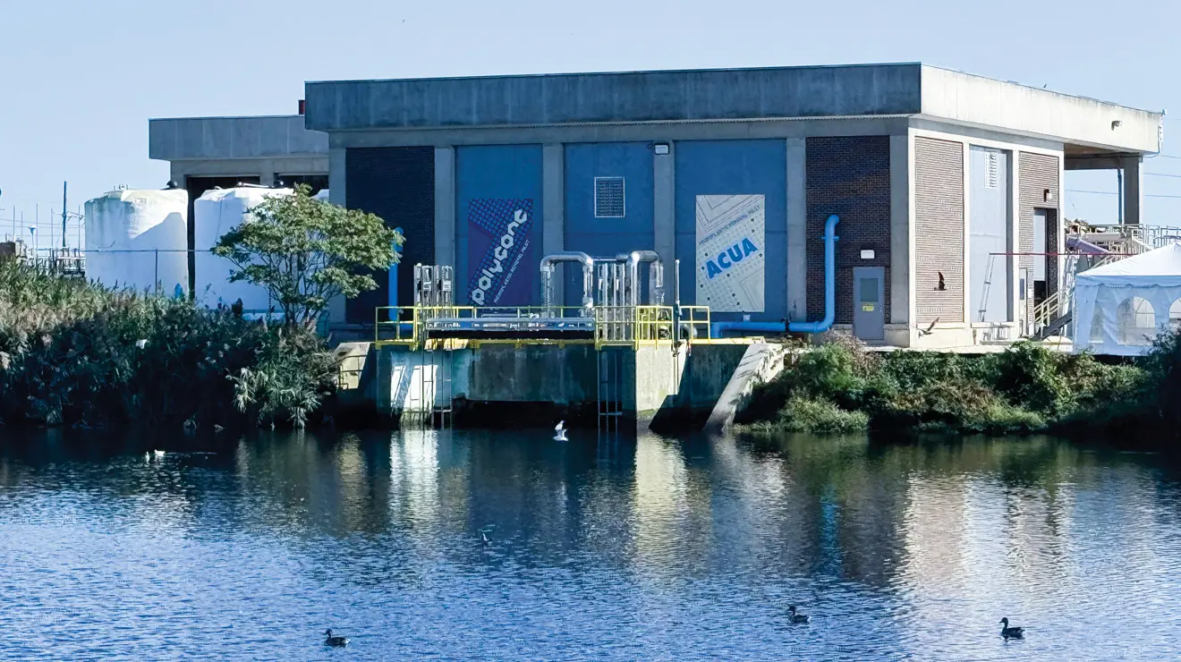 Alumni Developed a Way to Remove Microplastics From Waterways Alumni Developed a Way to Remove Microplastics From Waterways