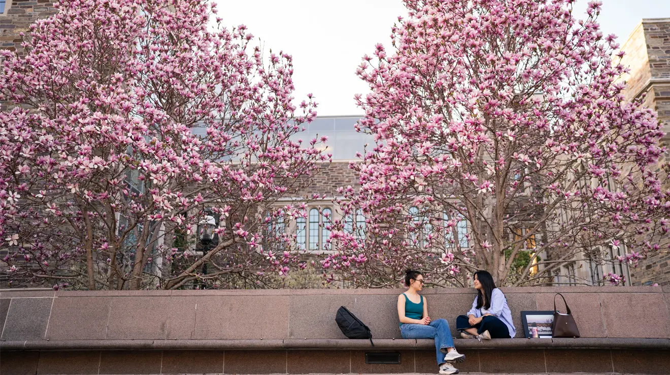 OTC_May opener spring has sprung.jpg After a long winter, students enjoy a warm day in April under a blooming saucer magnolia tree in Scudder Plaza.