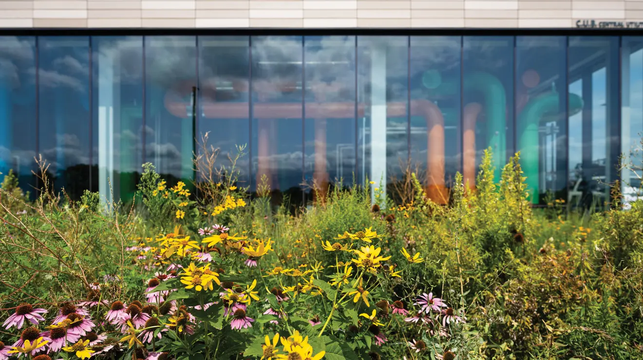 OTC_Campus wildlife opener.jpg Princeton’s Meadows Neighborhood, south of Lake Carnegie, features innovative geo-exchange heating and cooling systems, managed at the central utility building (CUB), above, and new landscaping that incorporates native perennials, foreground.